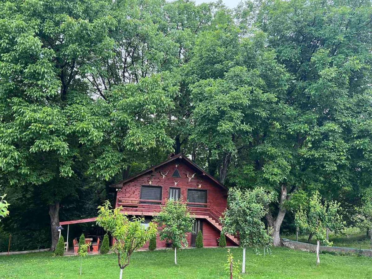 Вила Орехите Dupnitsa Exterior photo